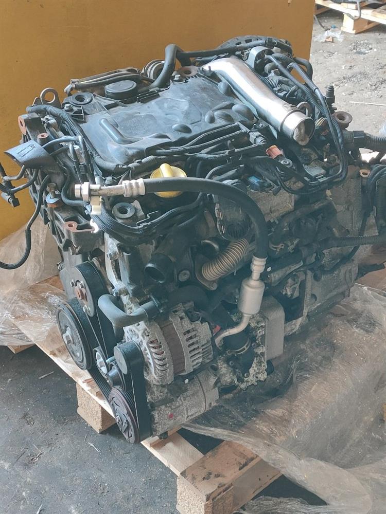Двигатель Ниссан Х-Трейл в Пскове 50287
